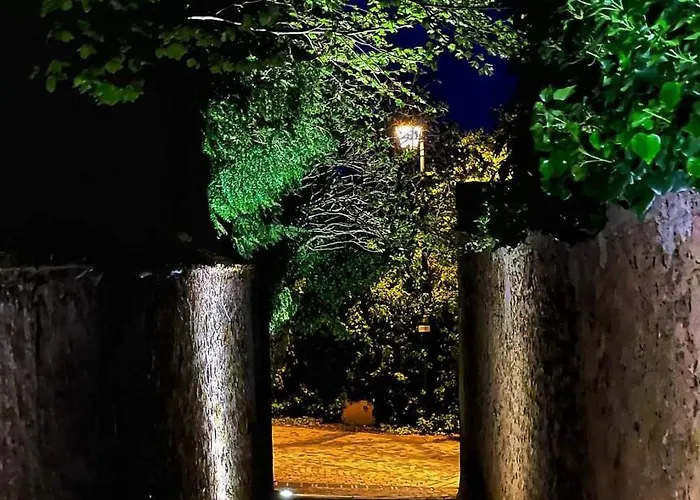 Le Sarment - Hautvillers