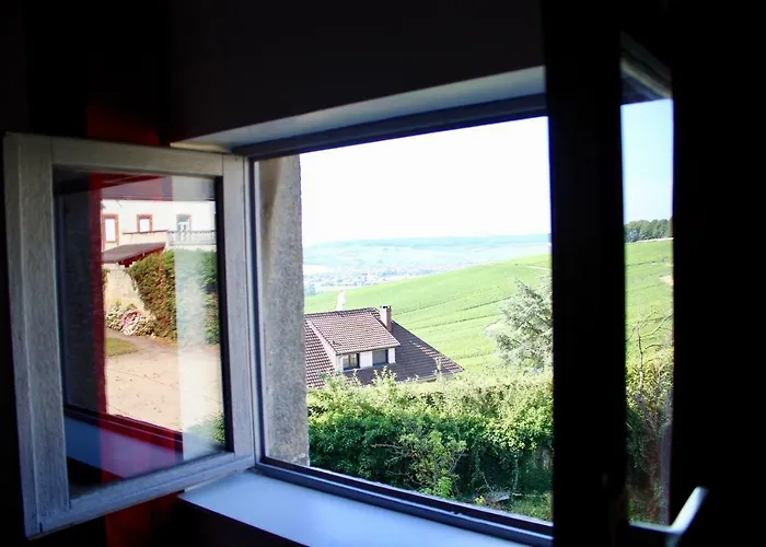 Holiday home Le Sarment - Hautvillers