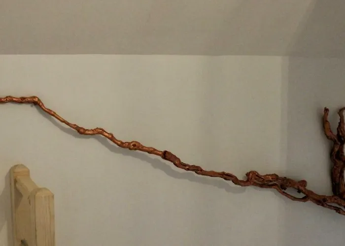 Le Sarment - Holiday home